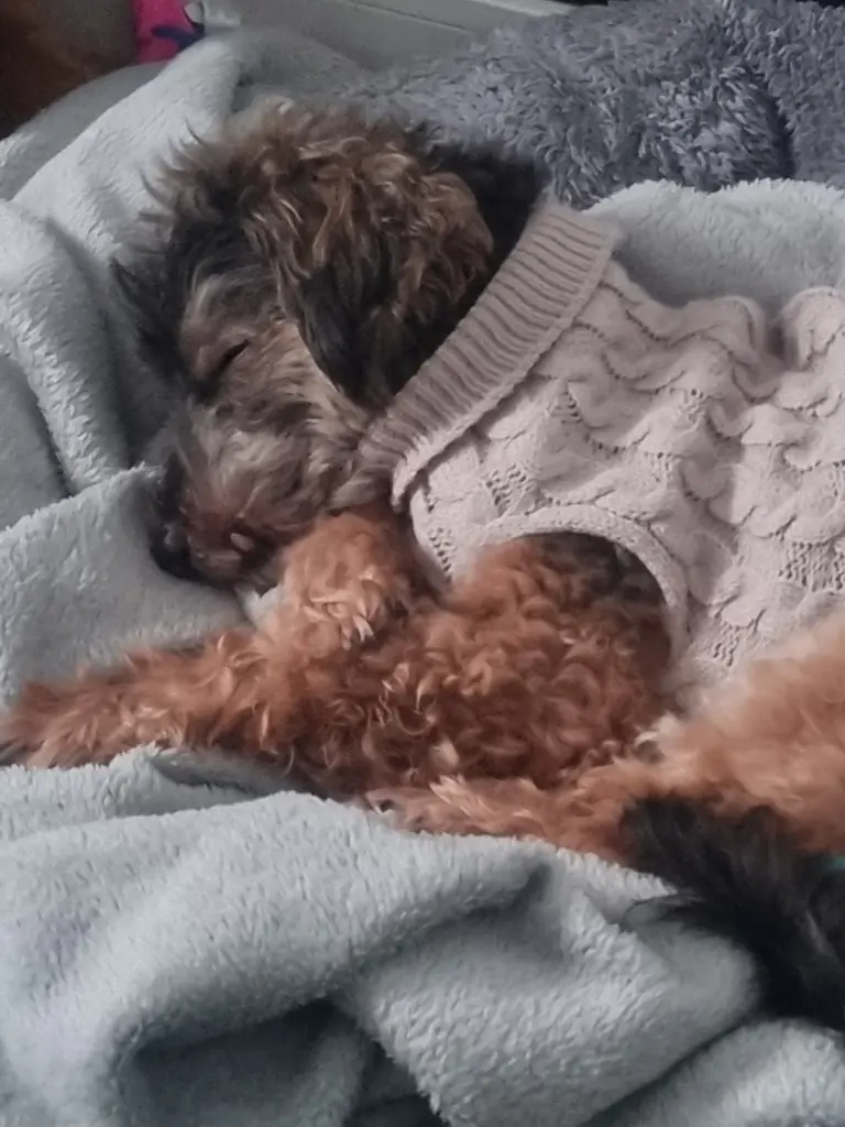 Andachtsbild von Beate Berges