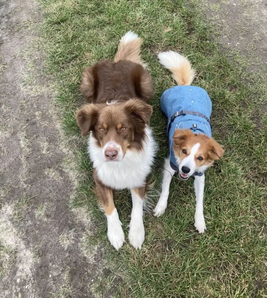 Andachtsbild von Svenja