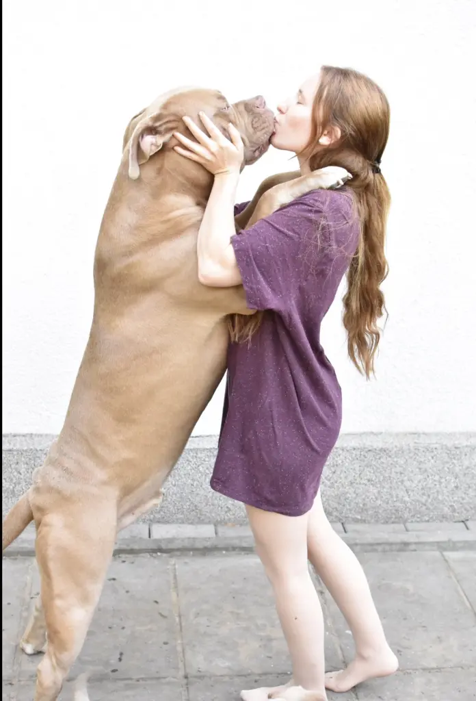 Bild von Vesco Milano