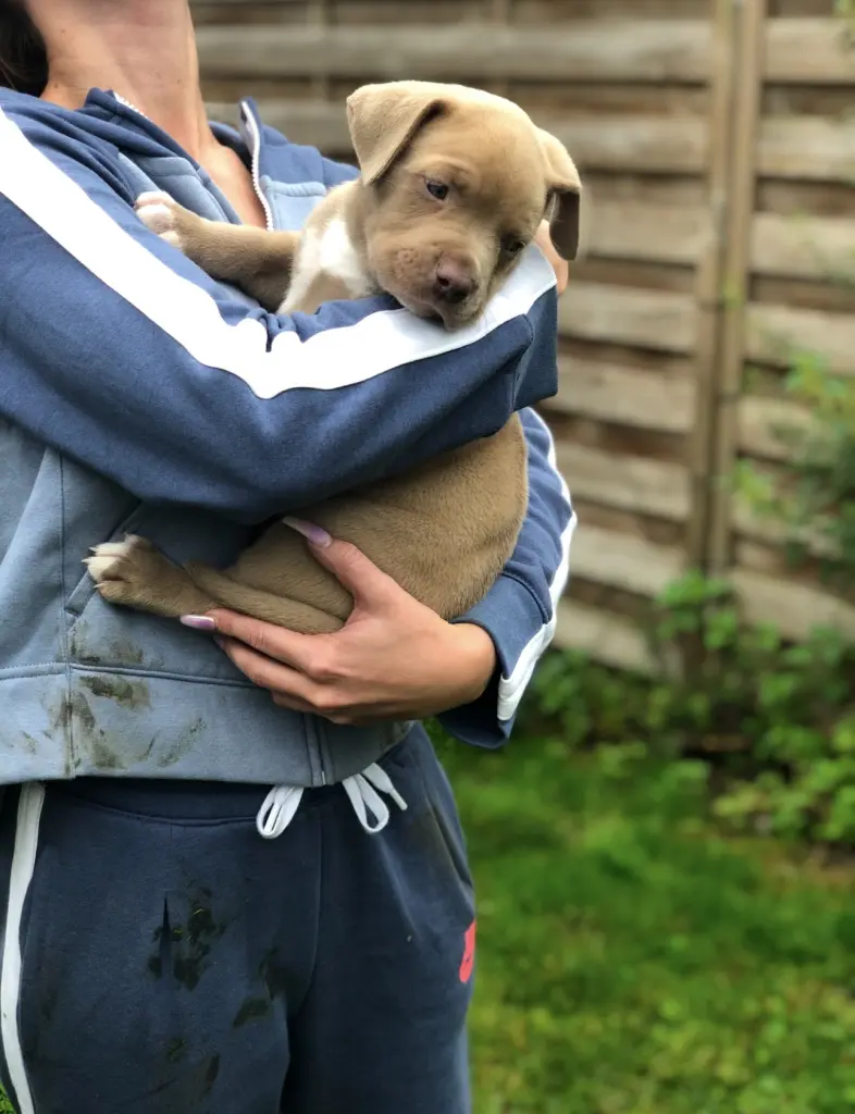 Bild von Vesco Milano