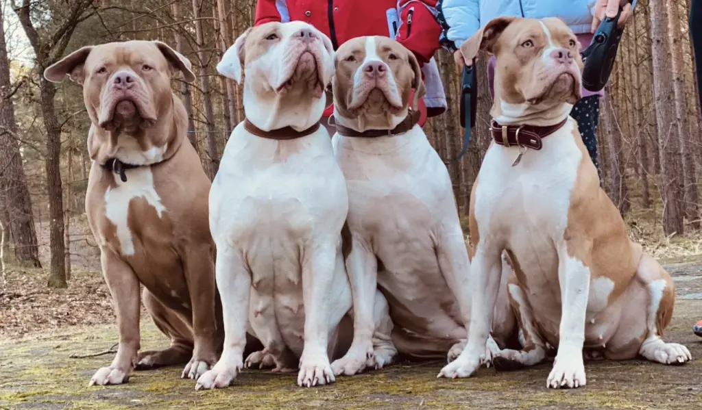 Bild von Vesco Milano