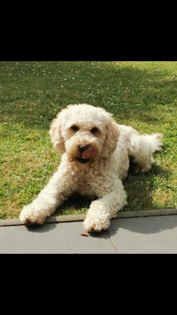 Andachtsbild von Thomas Fingskes