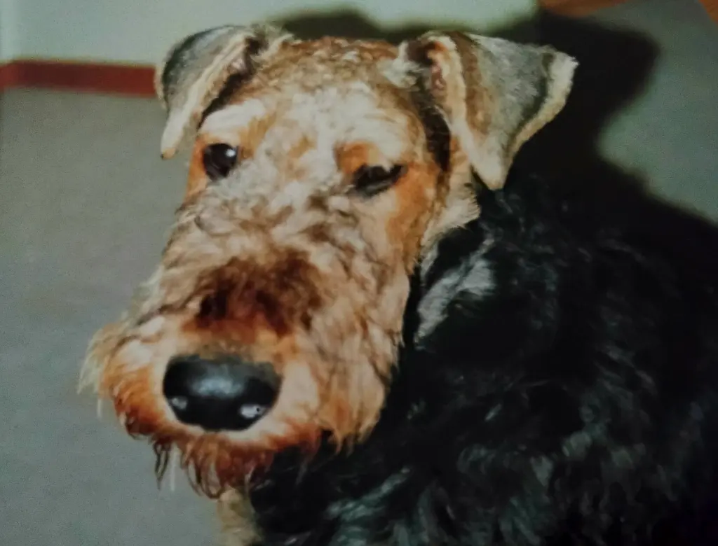 Andachtsbild von Susanne Wirth