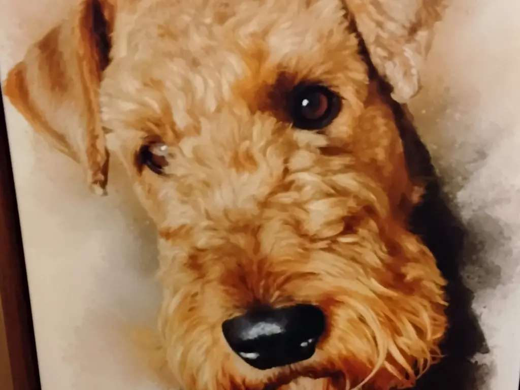 Condolence image of Susanne