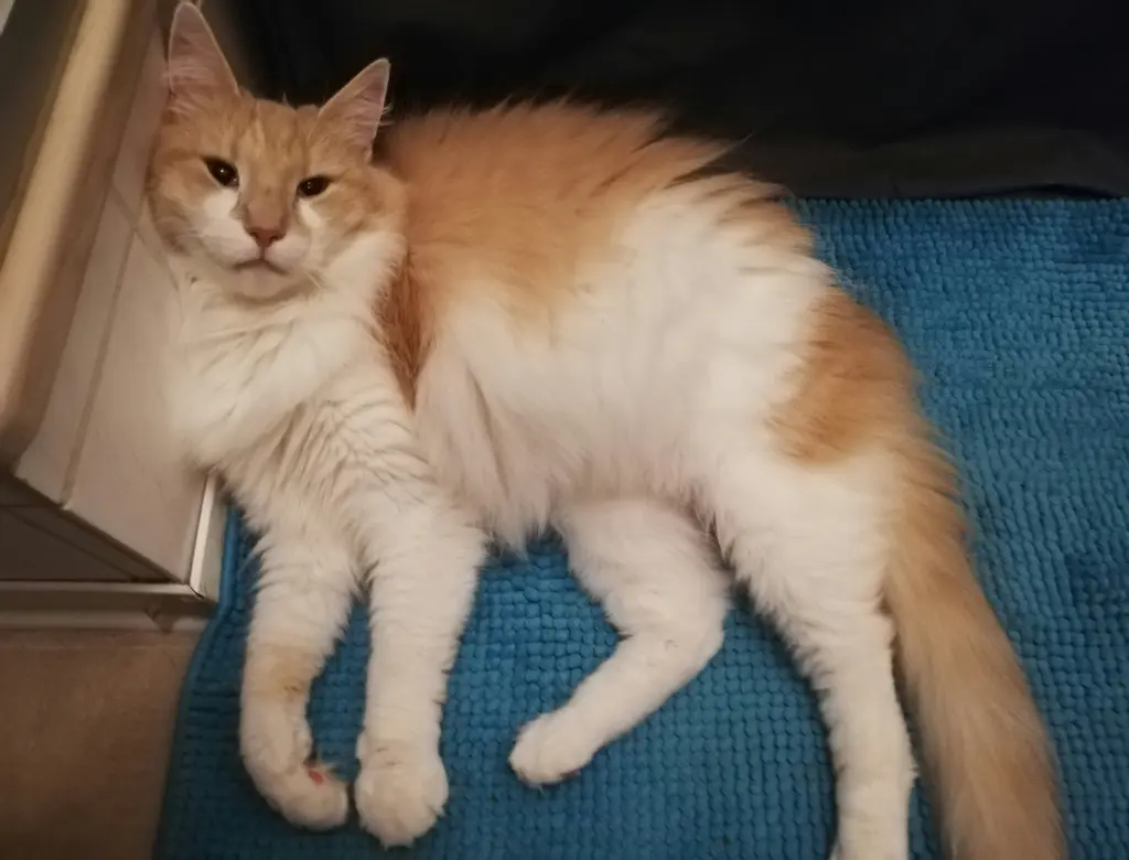 Andachtsbild von Tanja Degen