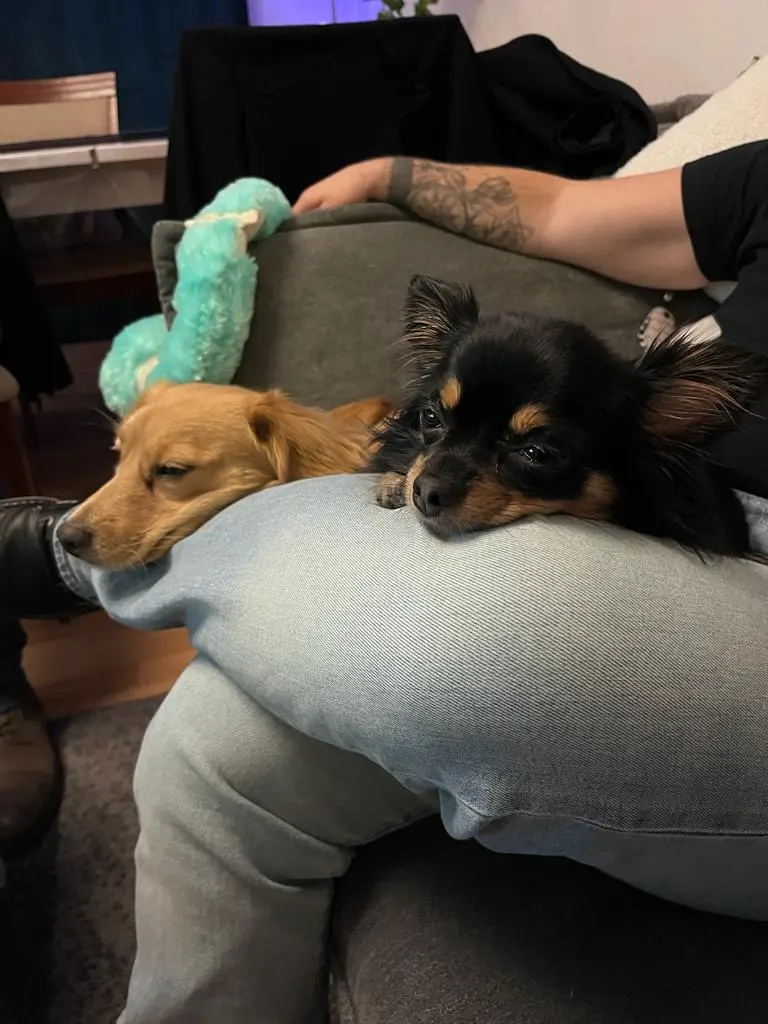 Bei Vati auf dem Schoss war es am schönsten.