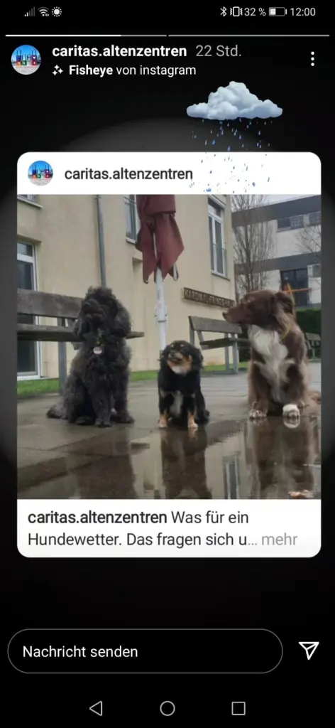 Stella auf der Arbeit.