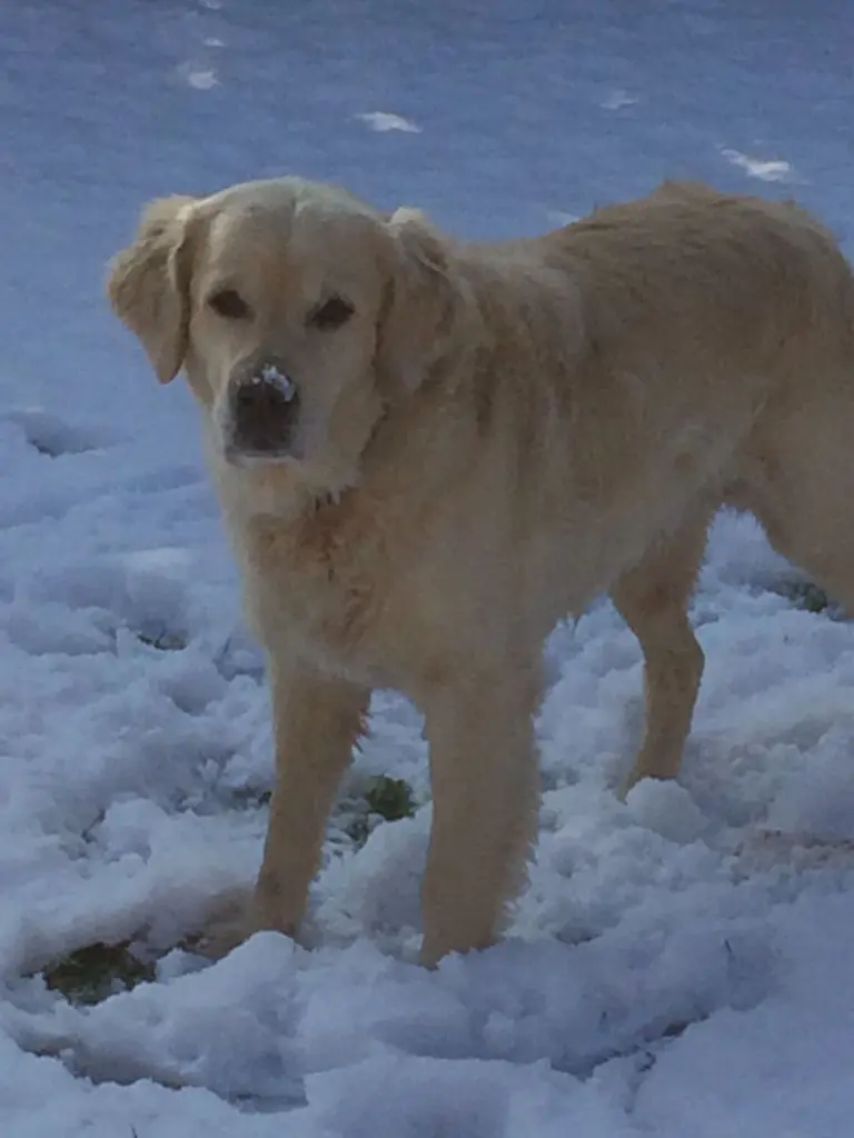 Andachtsbild von Andy und Piet ♥️