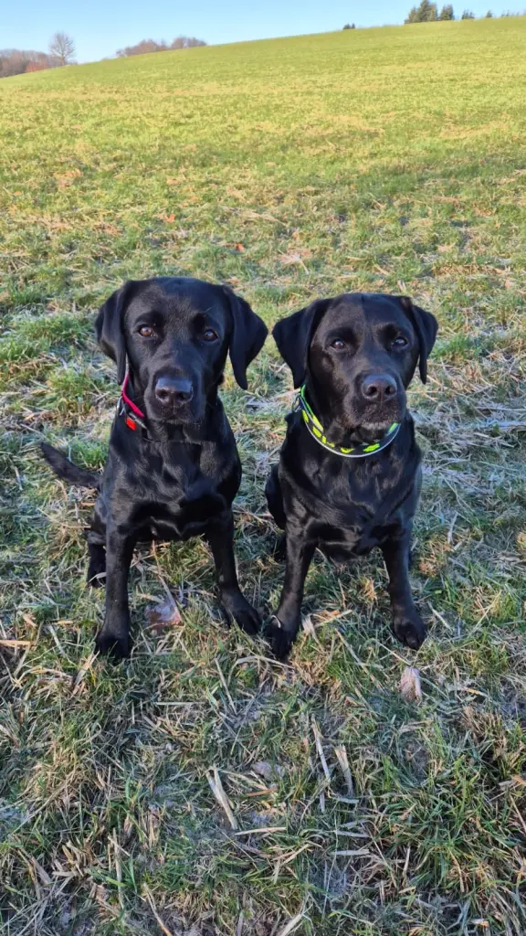 Andachtsbild von Aria