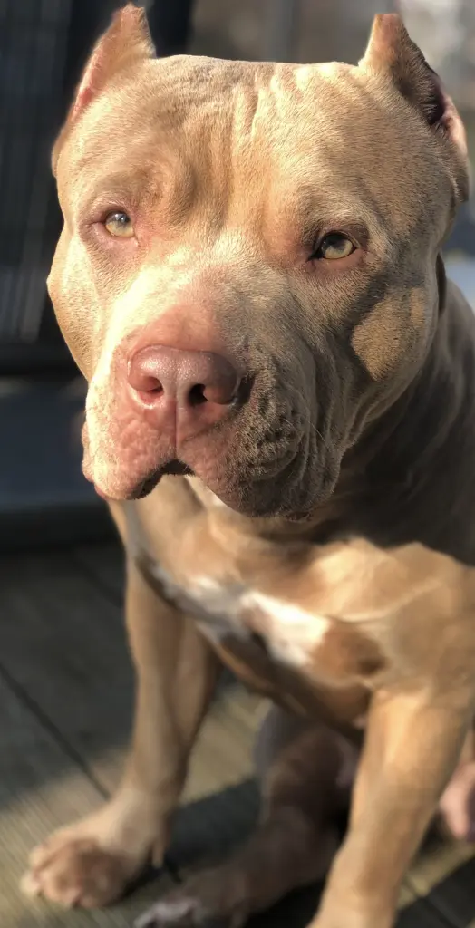 Andachtsbild von Dominique Hinz