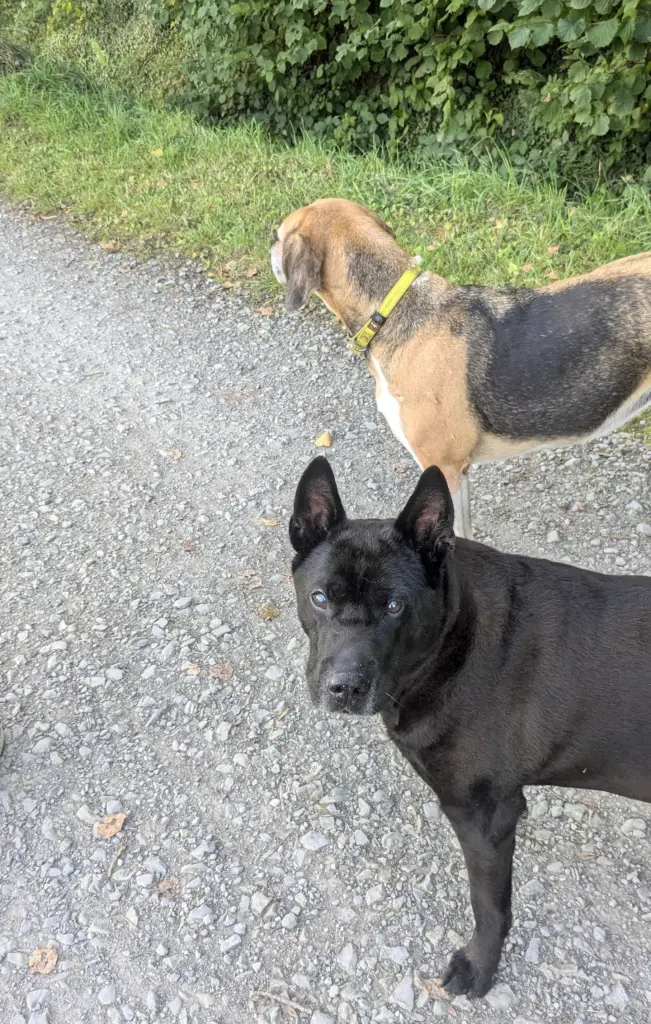 Andachtsbild von Steffie