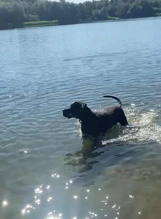 Er liebte Wasser aber nicht schwimmen 😊