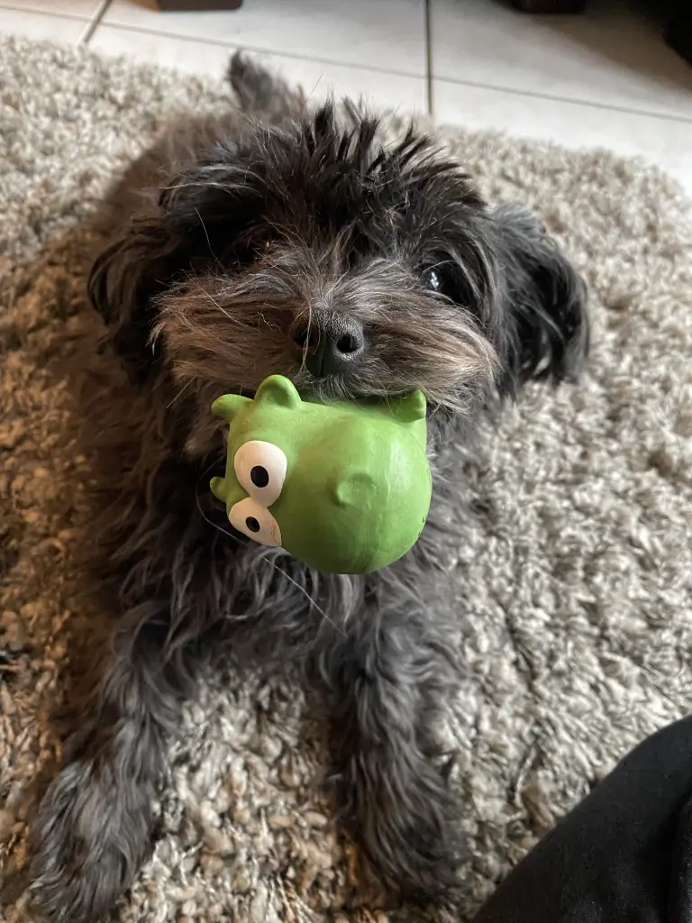 Andachtsbild von Eva Kaiser