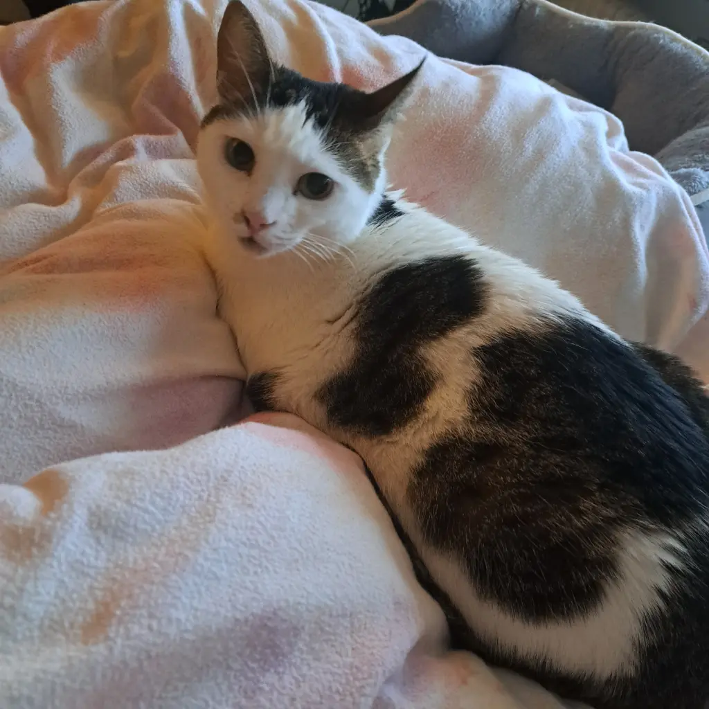 Andachtsbild von Sabrina Winkler