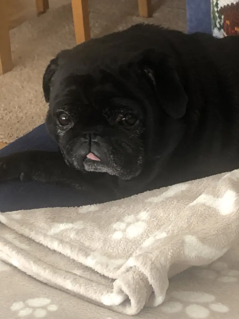 Andachtsbild von Andrea