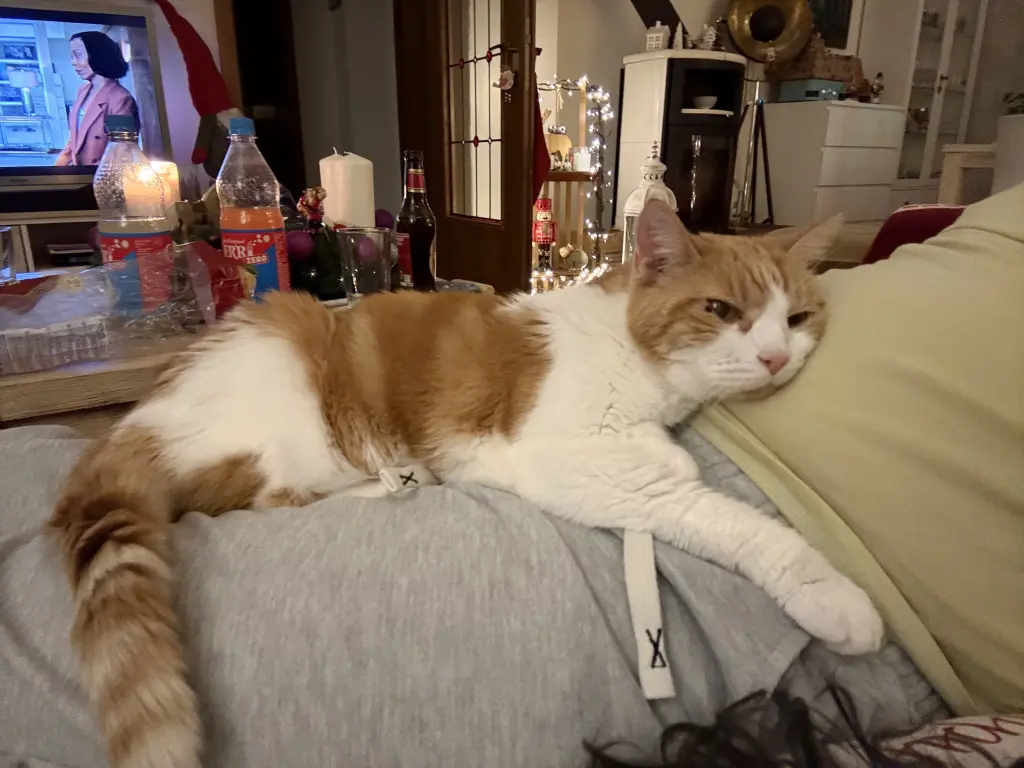 Andachtsbild von Michael Reuther