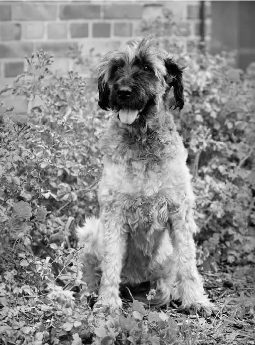 Andachtsbild von Katja