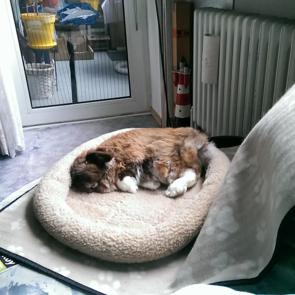 Andachtsbild von Andrea mit Schnuffi tief im ❤