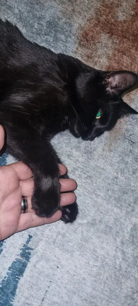 Andachtsbild von Andre Werth