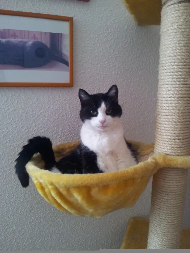 Condolence image of Ilse mit Fee und Minna im Herzen