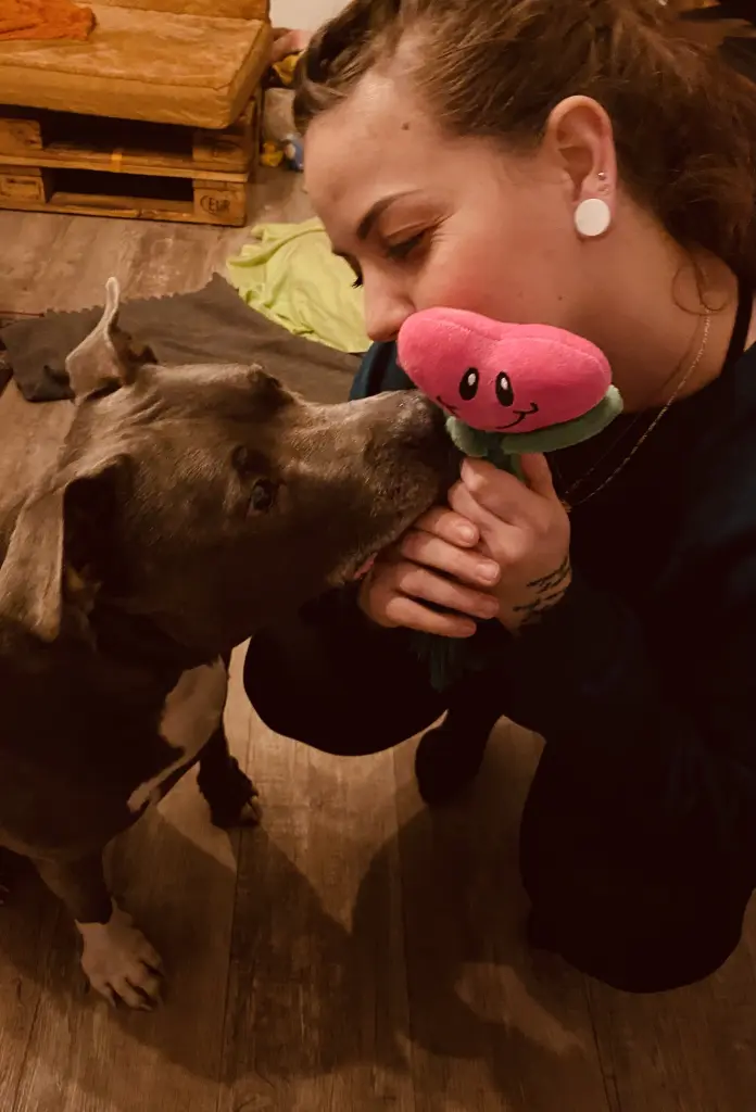 Andachtsbild von Sanny