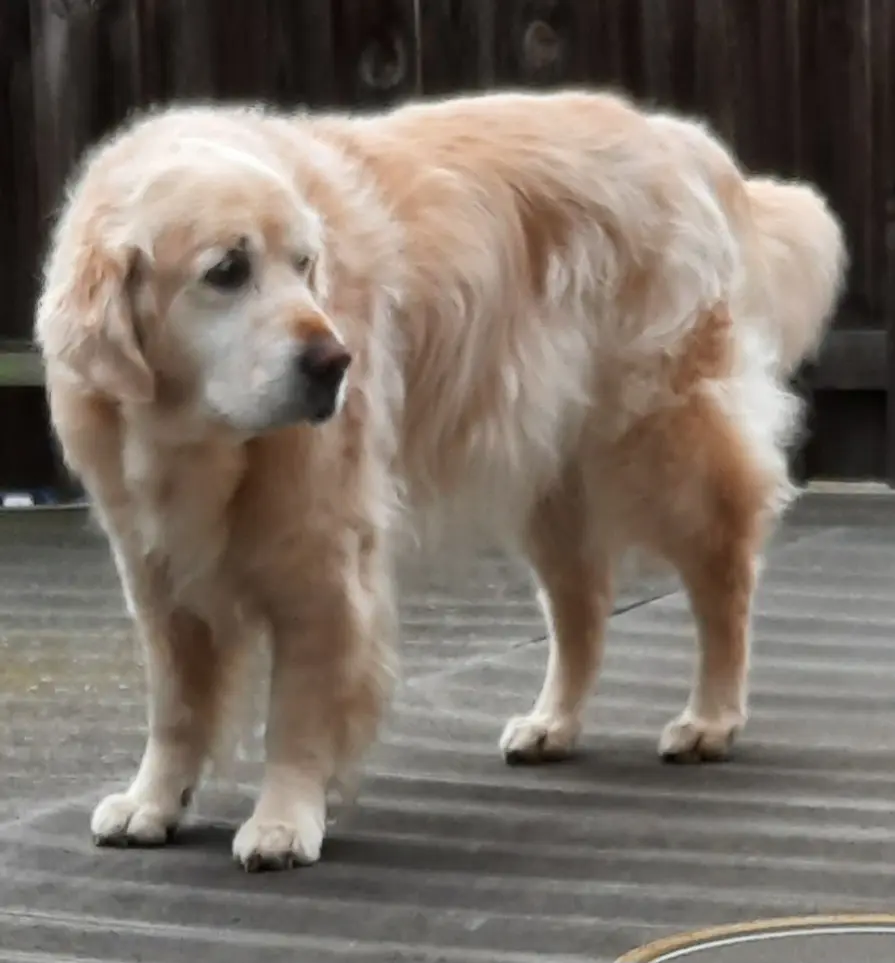 Andachtsbild von Sabine Tolis