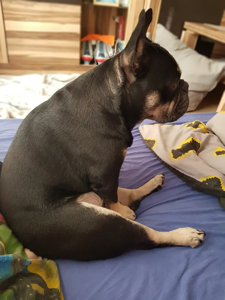 Andachtsbild von Sarah Kühnast