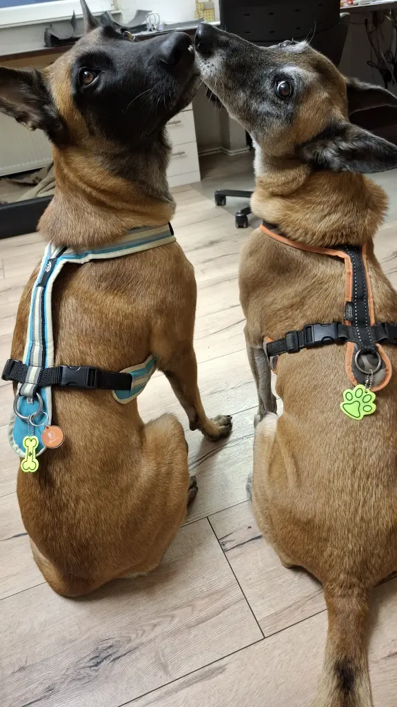 Mit deiner Gefährtin Fame.