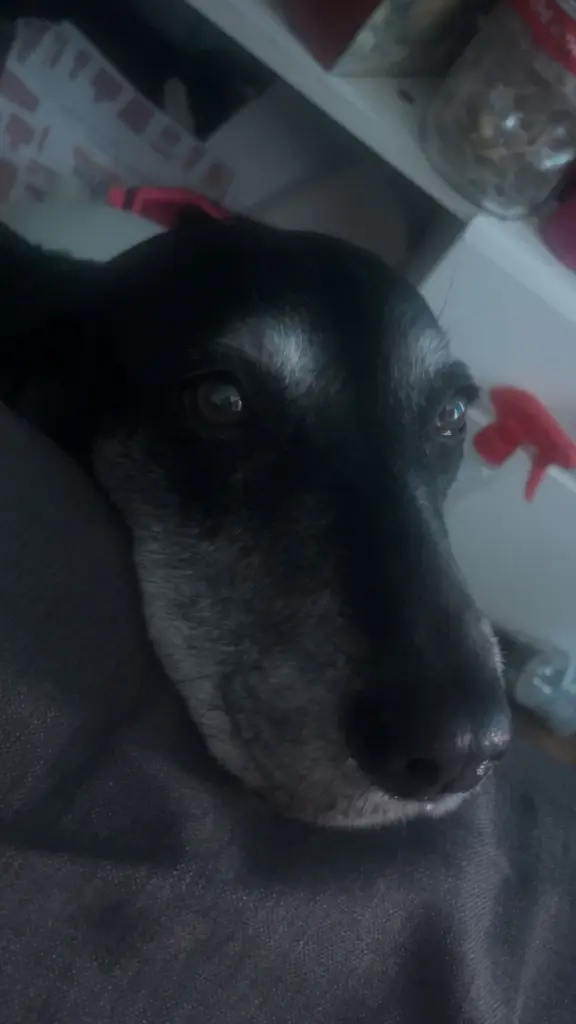 Andachtsbild von Leonie Mata Garcia