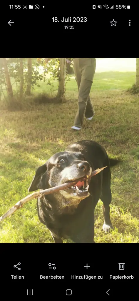 Andachtsbild von Bianca Mata Garcia