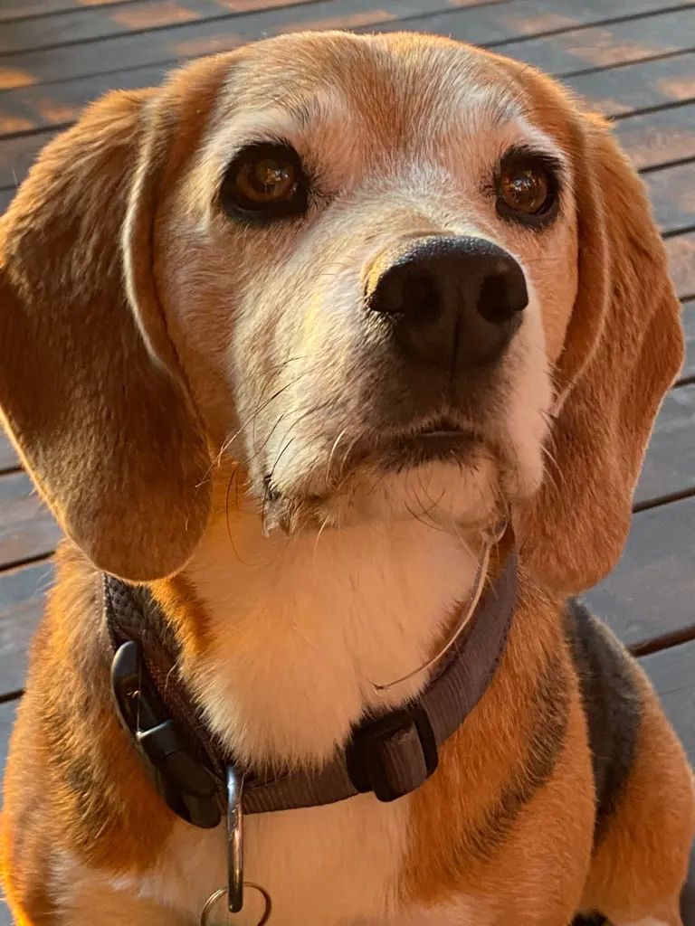 Andachtsbild von Milla und Meike