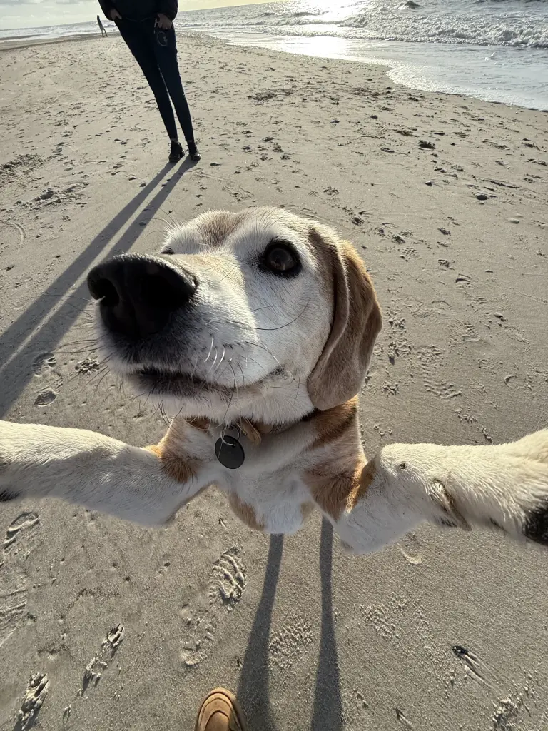 Immer für einen Spaß zu haben!
