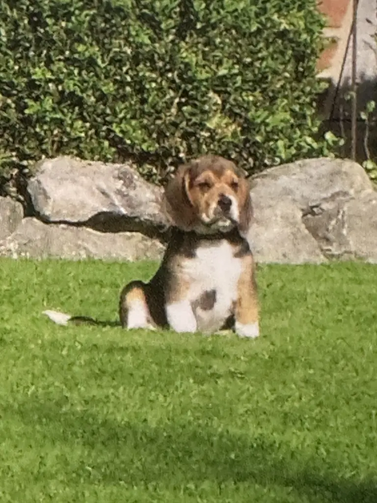 So bist du zu uns gekommen.