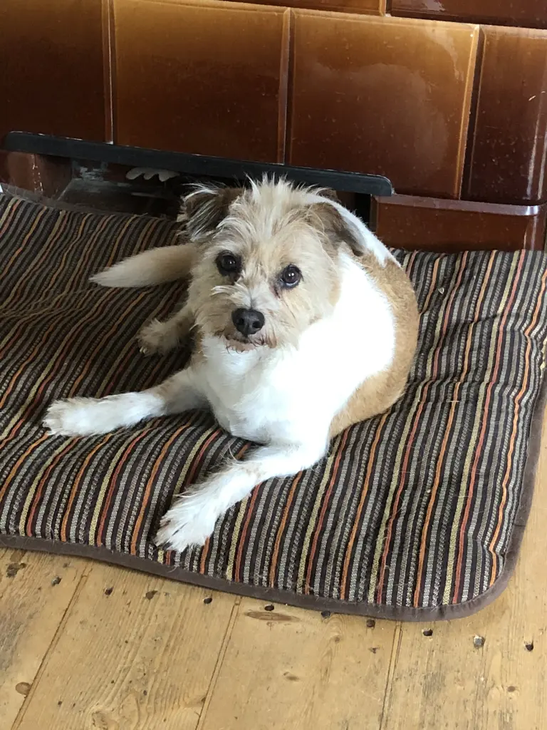 Nach dem Friseur ✂️.