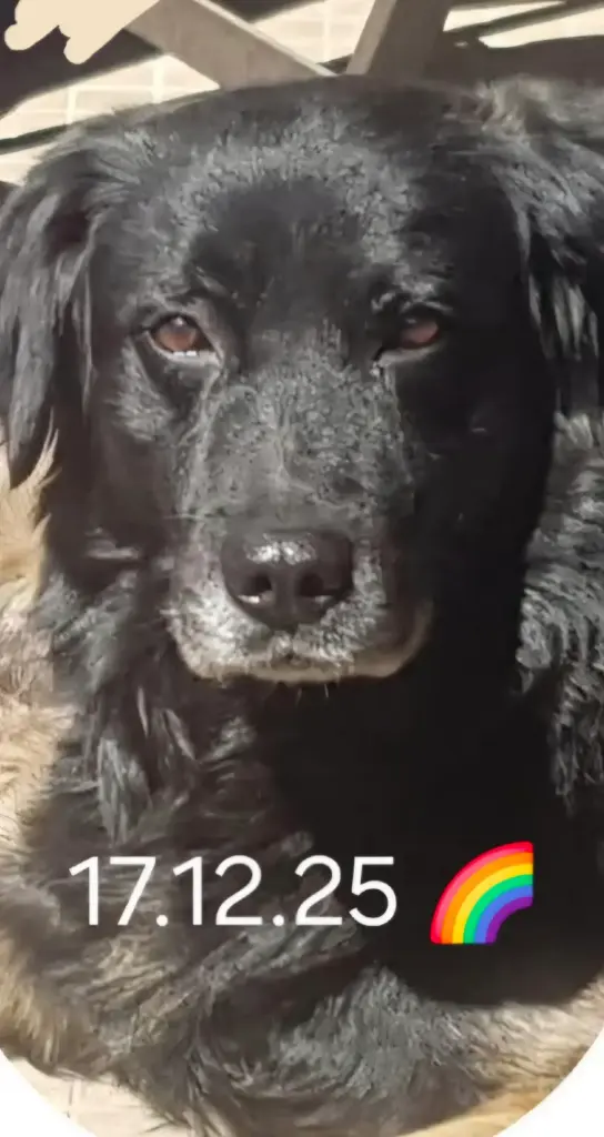 Andachtsbild von Melanie Annecke