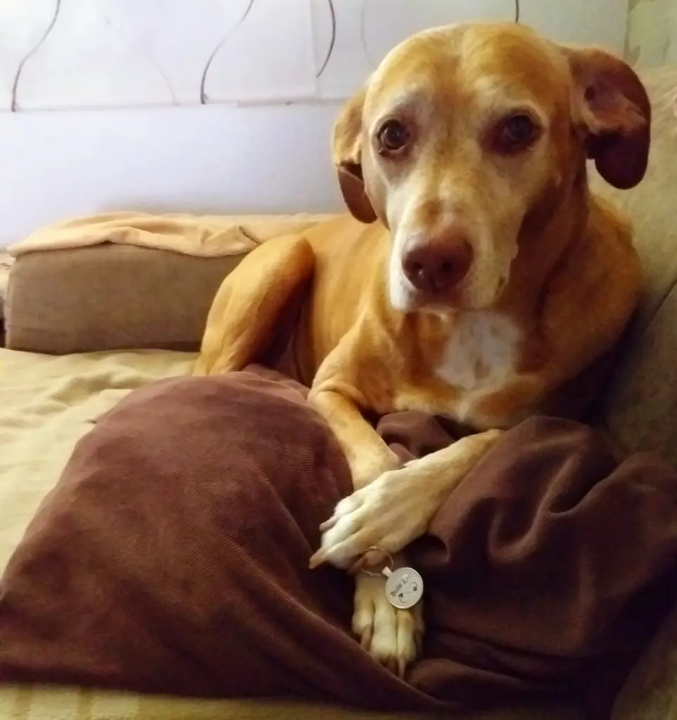 Andachtsbild von Sabine Z