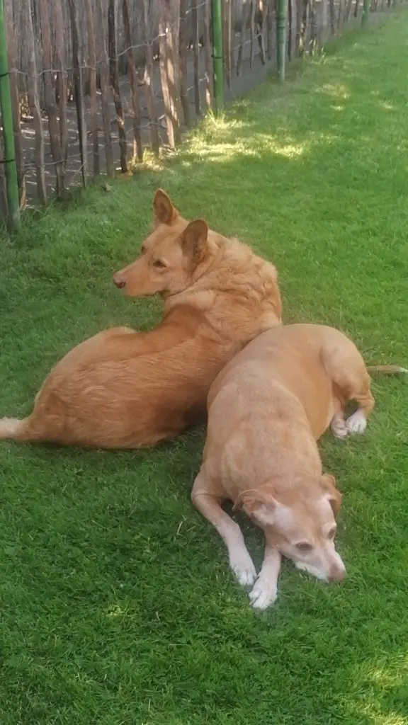 Mit deiner Schwester 🥰🥰🥰