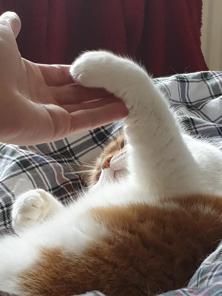 Andachtsbild von Patrick Ernst