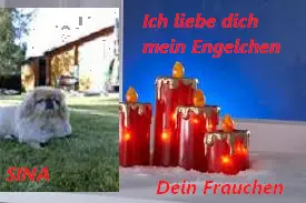 Image from meine einzigartige Sina