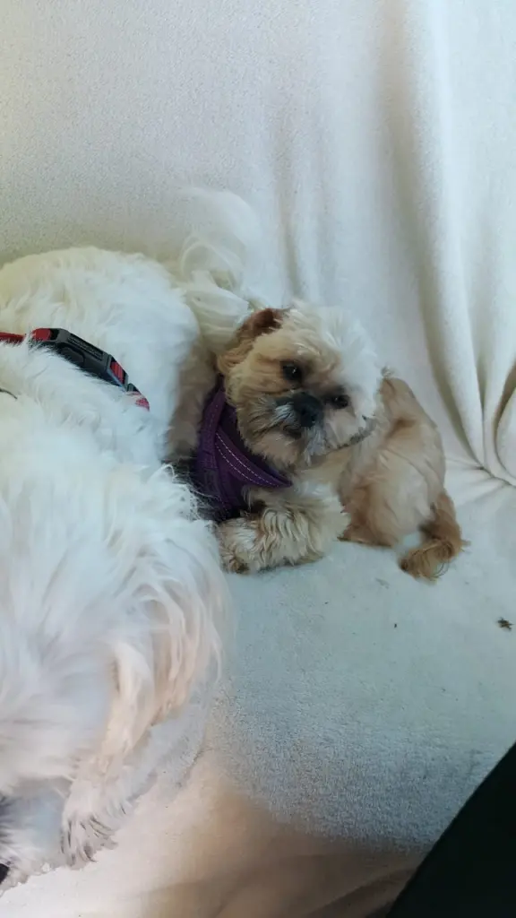 Diesen Blick hast du immer gehabt 🫶