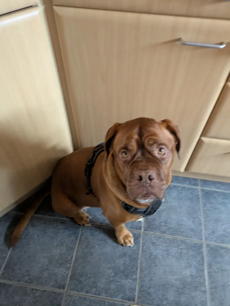 Andachtsbild von Kathrin Jensch