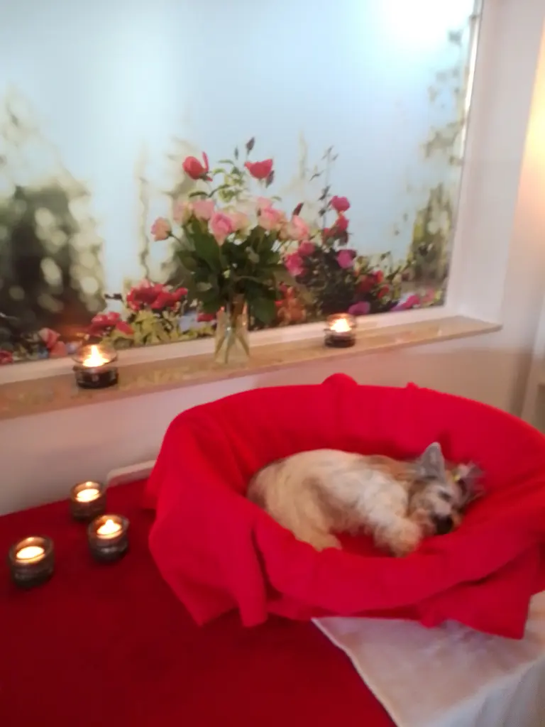 Condolence image of Konny mit Piccolino-Fly tief im ❤️