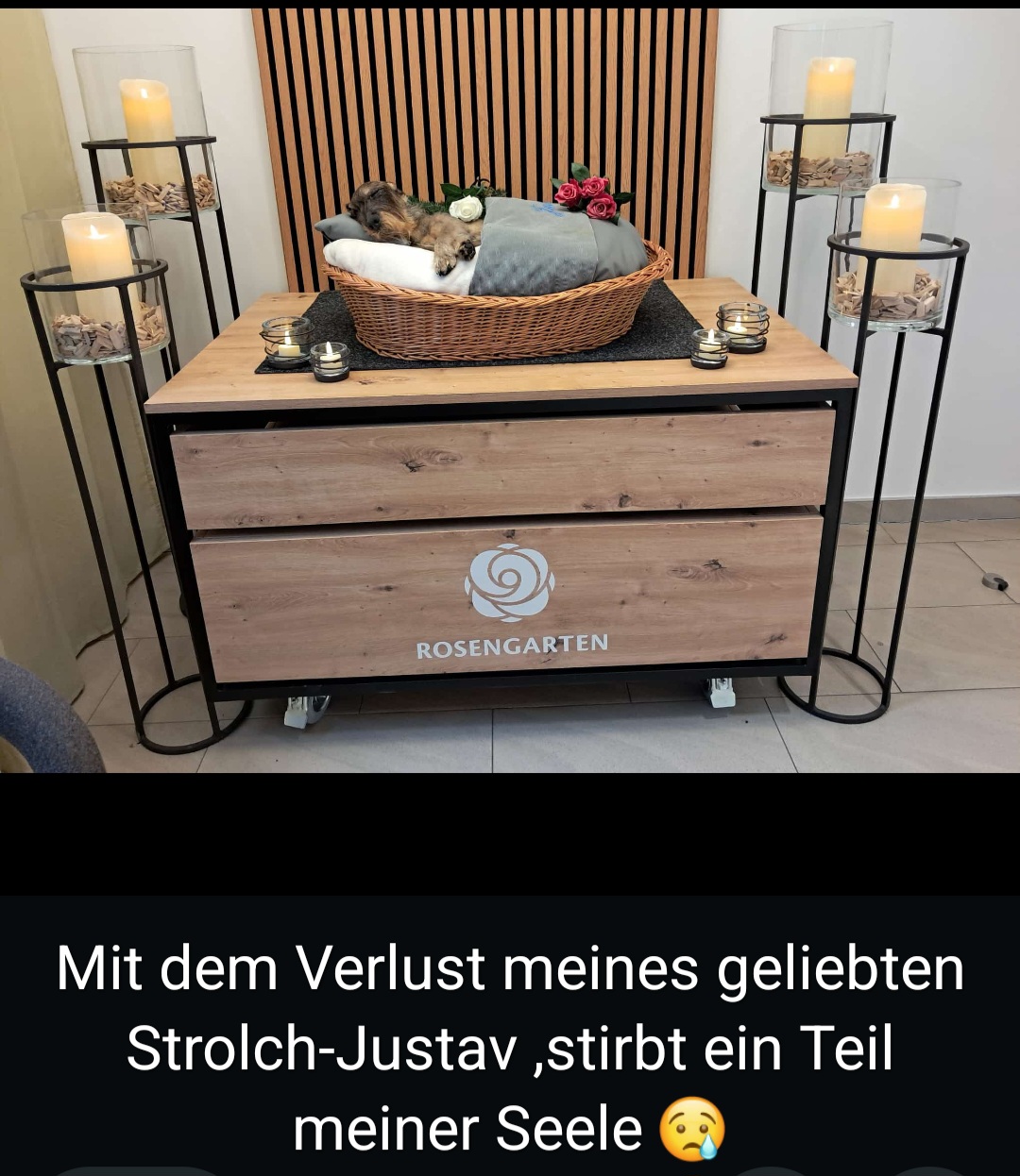Image from Strolch-Justav