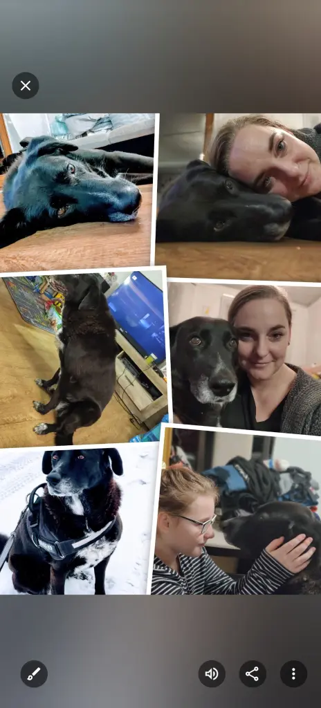 Andachtsbild von Katja Liefke