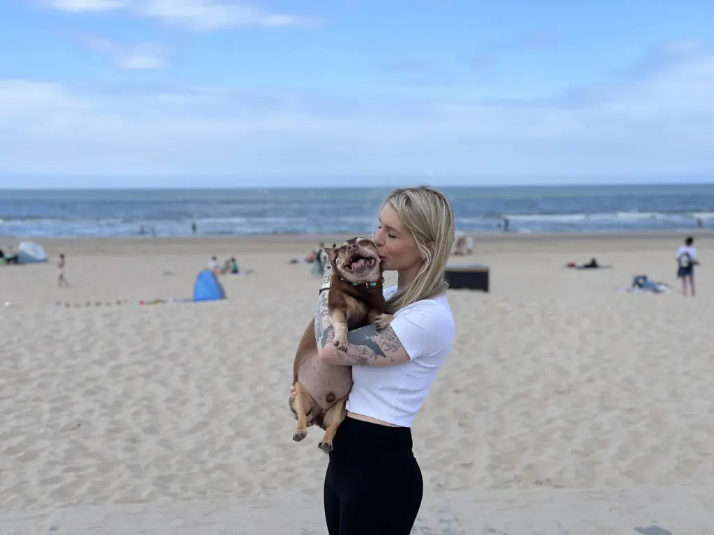 Waren überall gemeinsam