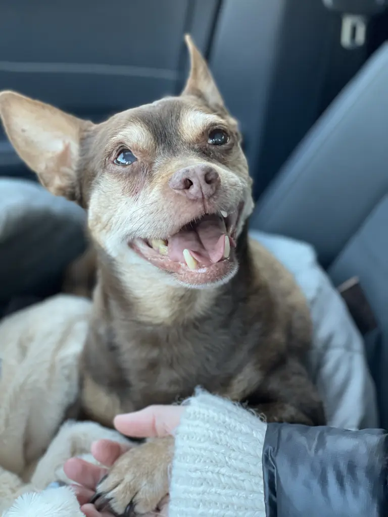 Du und ich für immer … Ich liebe dich 🩵😪