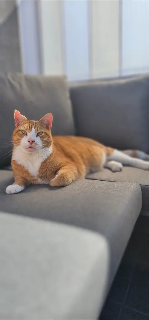 Andachtsbild von Jessika Krieter