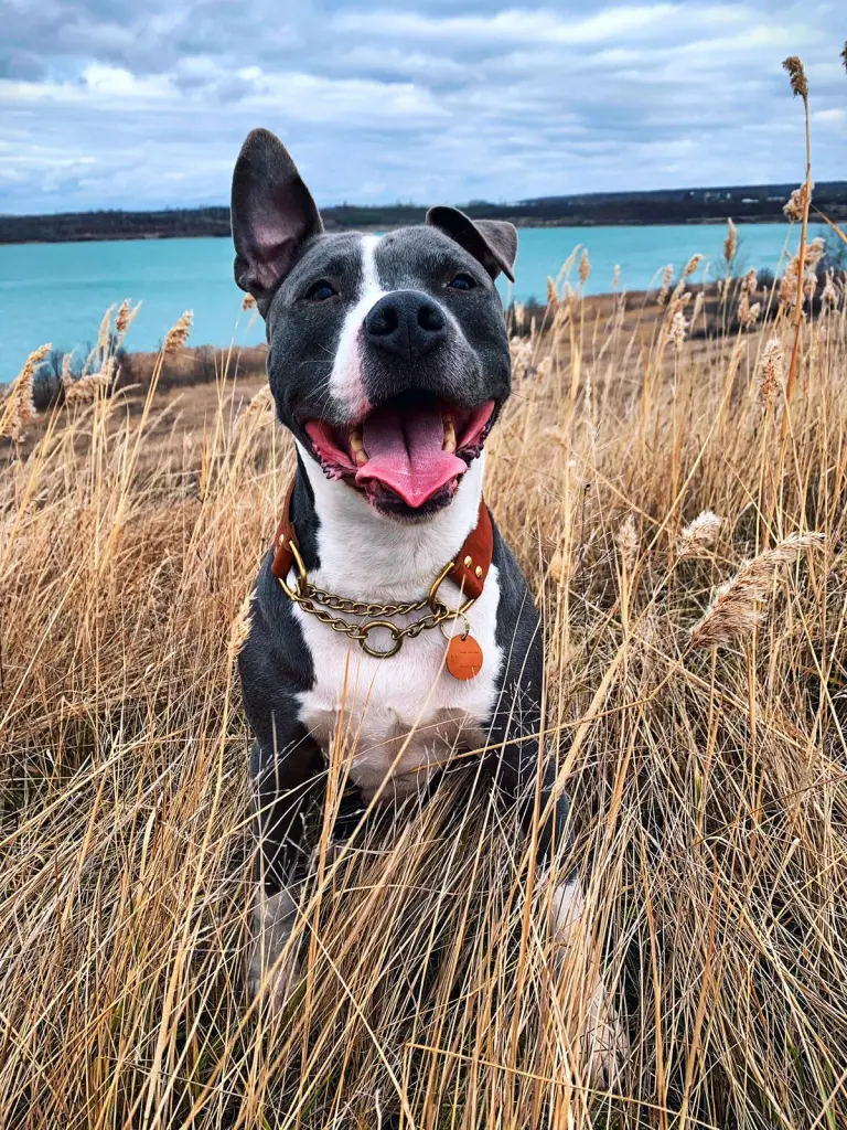 Andachtsbild von Mike