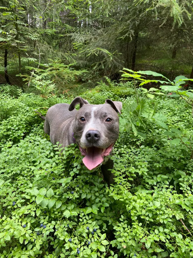 Andachtsbild von Max