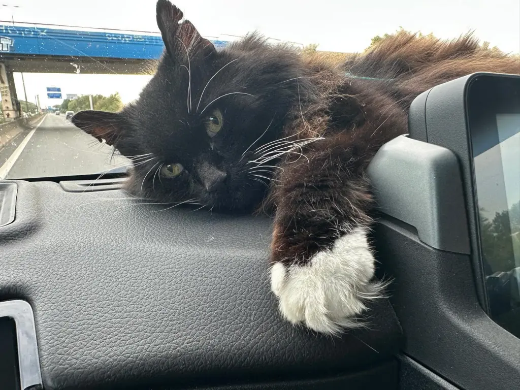 Condolence image of Sarah Schillings